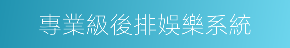 專業級後排娛樂系統的同義詞