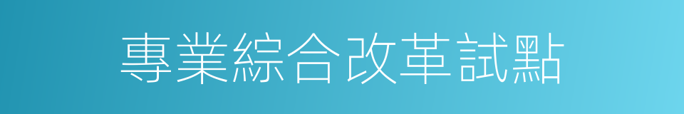 專業綜合改革試點的同義詞