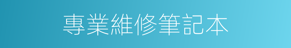 專業維修筆記本的同義詞