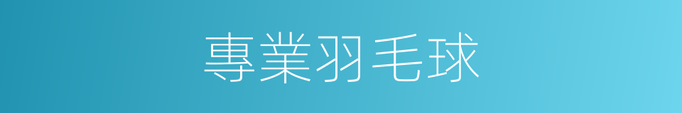 專業羽毛球的同義詞