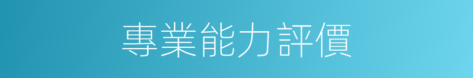 專業能力評價的同義詞
