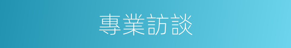 專業訪談的同義詞