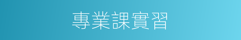 專業課實習的同義詞