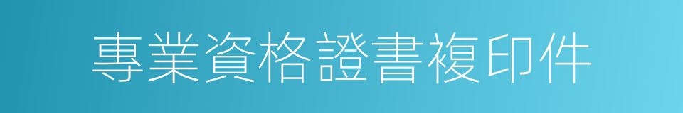 專業資格證書複印件的同義詞