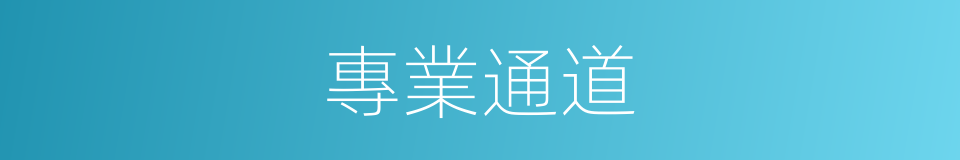 專業通道的同義詞