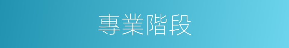 專業階段的同義詞