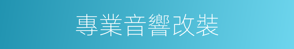 專業音響改裝的同義詞