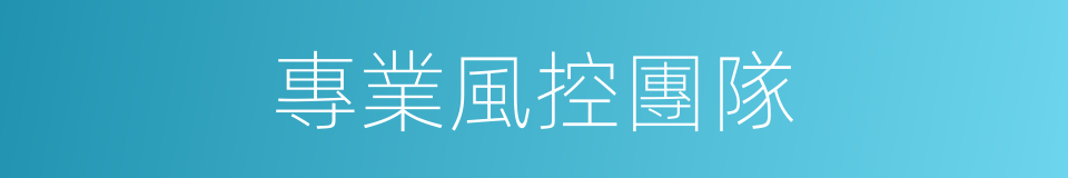 專業風控團隊的同義詞