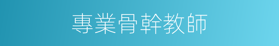專業骨幹教師的同義詞