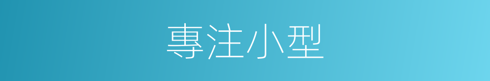 專注小型的同義詞