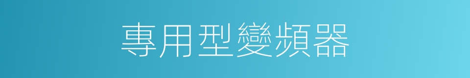 專用型變頻器的同義詞