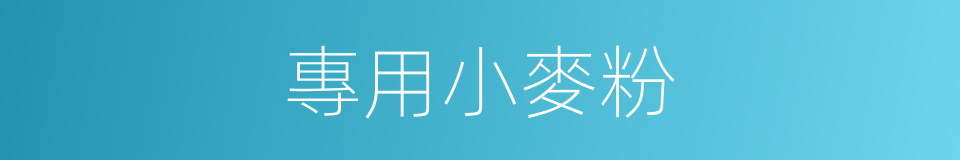 專用小麥粉的同義詞