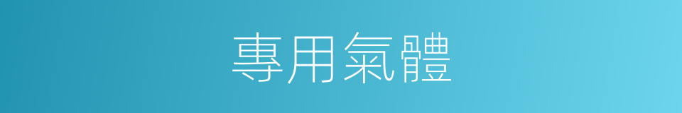 專用氣體的同義詞