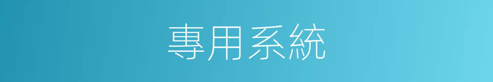 專用系統的同義詞