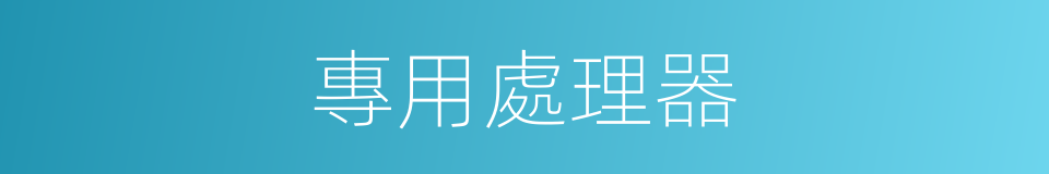 專用處理器的同義詞