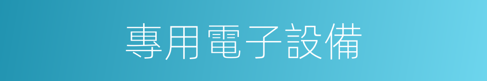 專用電子設備的同義詞