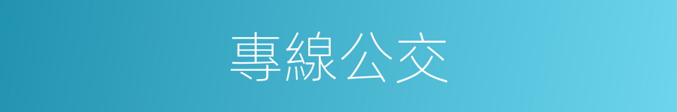 專線公交的同義詞