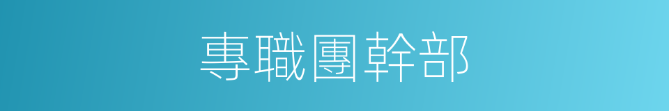 專職團幹部的同義詞