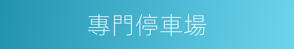專門停車場的同義詞