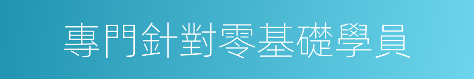 專門針對零基礎學員的同義詞