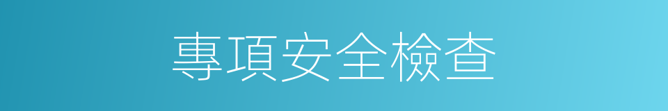 專項安全檢查的同義詞
