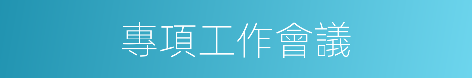 專項工作會議的同義詞