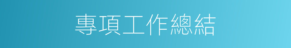 專項工作總結的同義詞