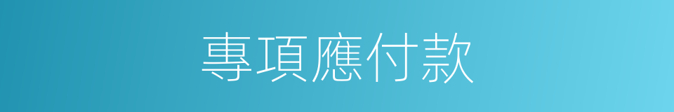 專項應付款的同義詞
