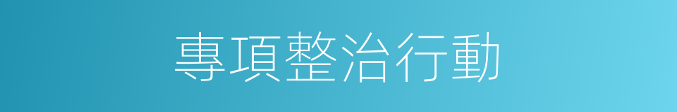 專項整治行動的同義詞