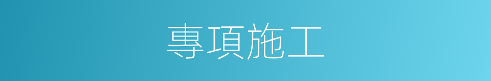 專項施工的同義詞