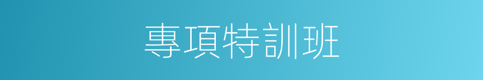 專項特訓班的同義詞