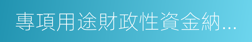 專項用途財政性資金納稅調整明細表的同義詞