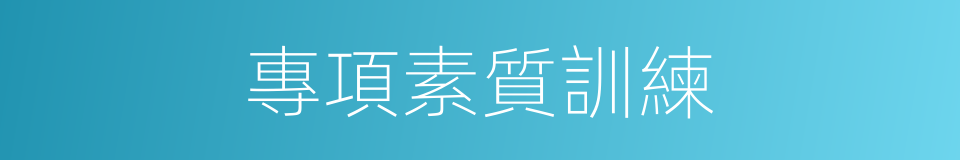 專項素質訓練的同義詞