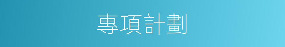 專項計劃的同義詞