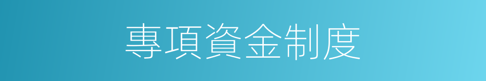 專項資金制度的同義詞