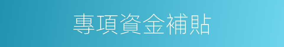 專項資金補貼的同義詞