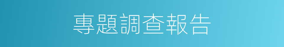 專題調查報告的同義詞