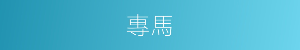 專馬的同義詞
