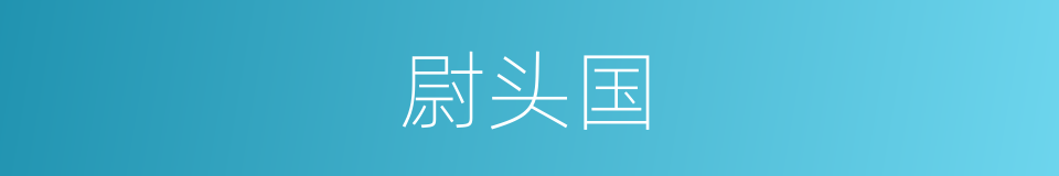 尉头国的意思