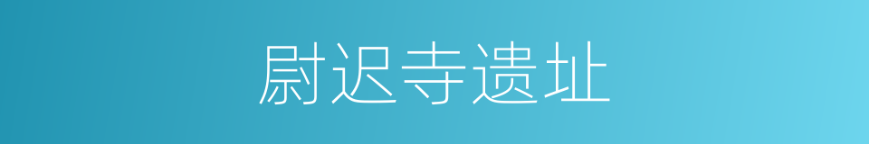 尉迟寺遗址的同义词