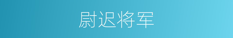 尉迟将军的同义词