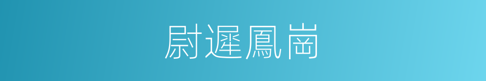 尉遲鳳崗的同義詞