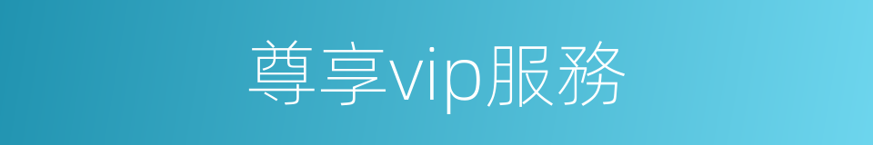尊享vip服務的同義詞