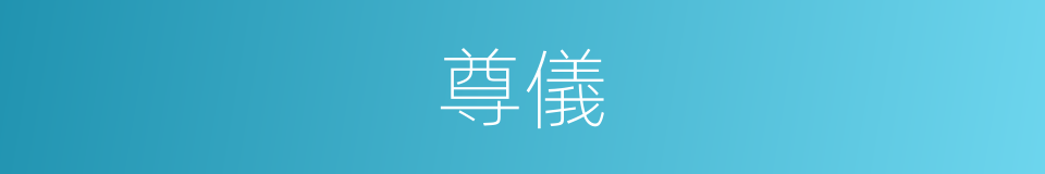 尊儀的意思