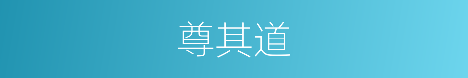 尊其道的同义词