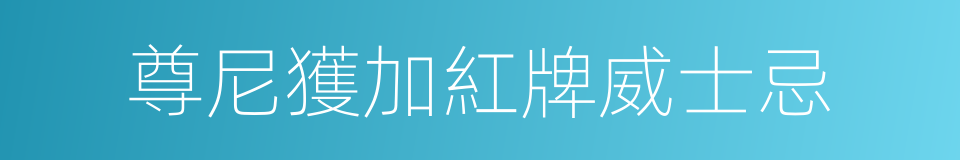 尊尼獲加紅牌威士忌的同義詞