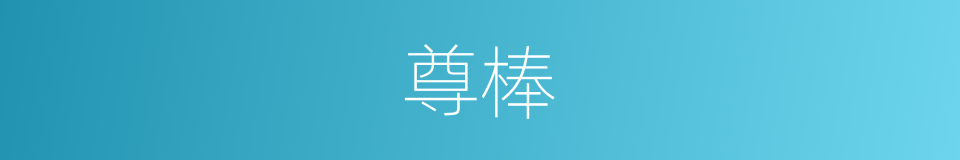 尊棒的同义词