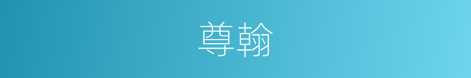 尊翰的意思