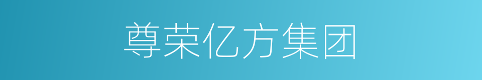 尊荣亿方集团的同义词