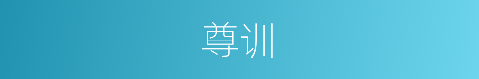 尊训的同义词